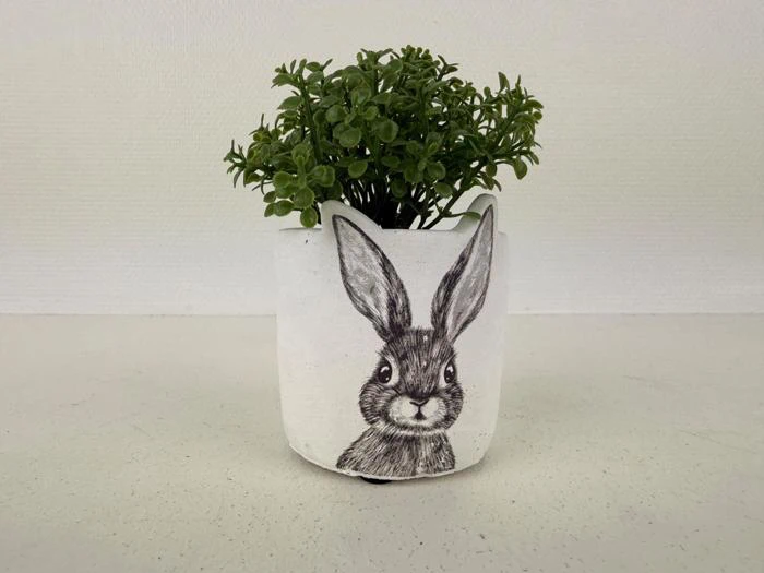 En lille grøn plante i en hvid potte med en sort-hvid tegning af et kaninansigt på forsiden.