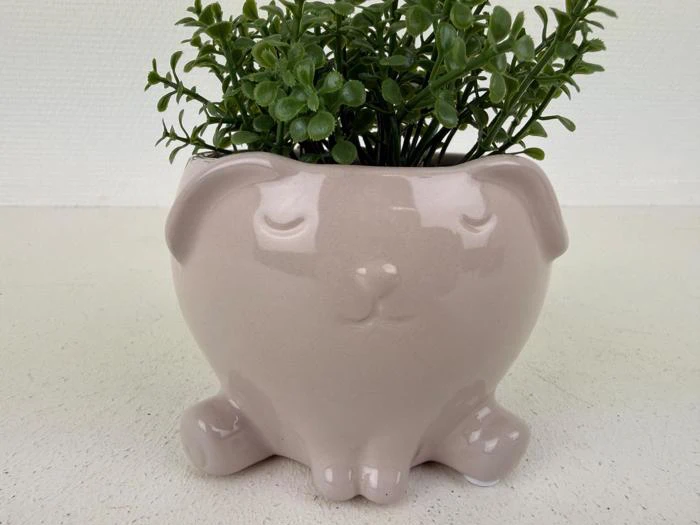 En lille plante i en blank, lysbeige keramikpotte formet som en sød hund med lukkede øjne og hængeører.