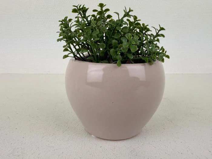 En lille grøn bladplante i en glat, rund, lyserød keramikpotte står på en hvid overflade mod en lys baggrund.