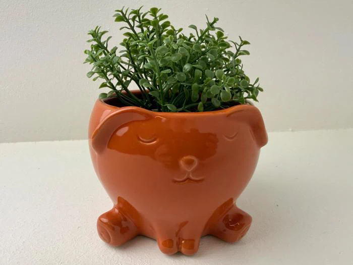 En lille grøn plante i en orange keramisk krukke formet som en hund med lukkede øjne, placeret på en hvid overflade mod en lys baggrund.