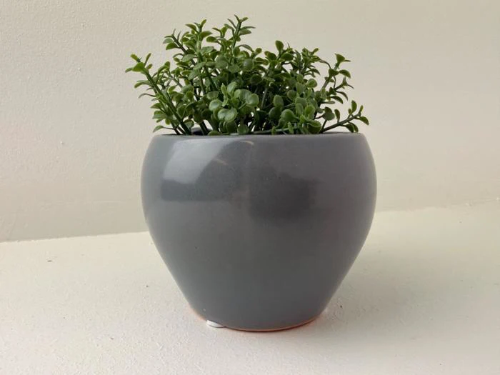 En lille grøn bladplante i en rund, blank grå keramikpotte står på en hvid flade mod en almindelig lys baggrund.