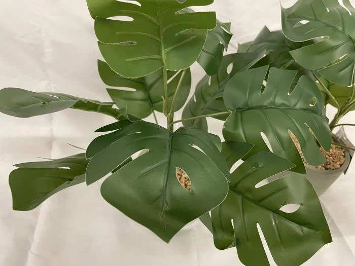 Nærbillede af kunstige grønne monstera-blade med tydelige huller og sprækker, placeret i en potte fyldt med små brune sten på en hvid baggrund.