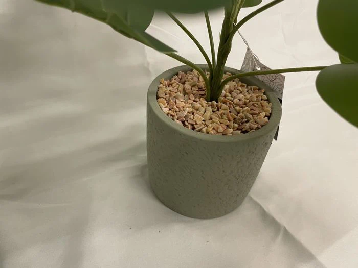 En grøn potteplante med små solbrune sten, der dækker jorden, placeret på en hvid stofoverflade.