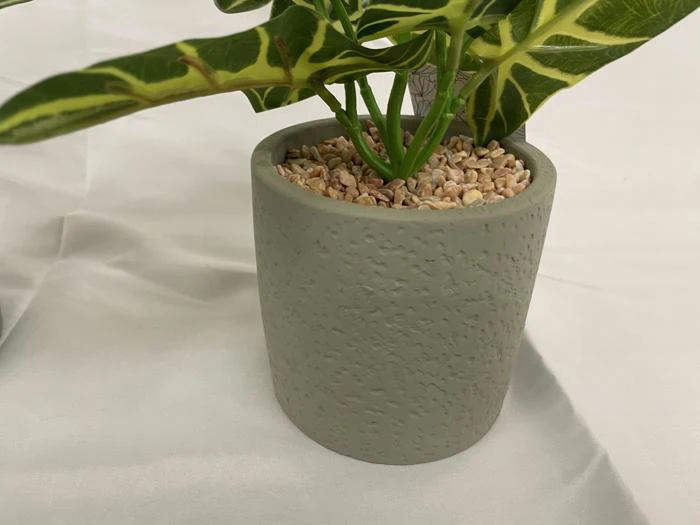 En grønbladet plante i en struktureret, lysegrå potte fyldt med småsten, placeret på en hvid stofoverflade.