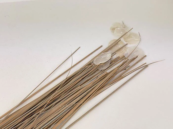  Deko græsser m perlemor skaller, 4579