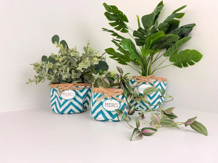 Tre potteplanter i blå og hvide chevronmønstrede potter med etiketter med teksten MERCI, anbragt på en hvid flade mod en hvid væg.
