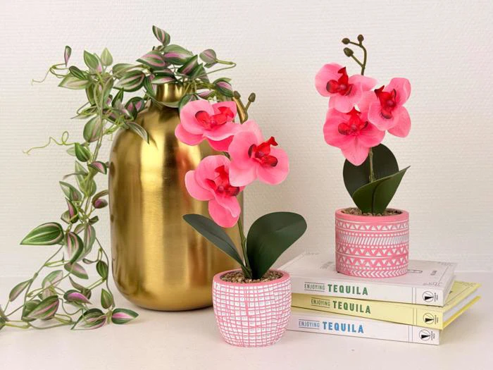 To pink potteorkideer og en slyngplante i en guldvase står på og ved siden af stablede bøger med titlen Enjoying Tequila på en lys baggrund.