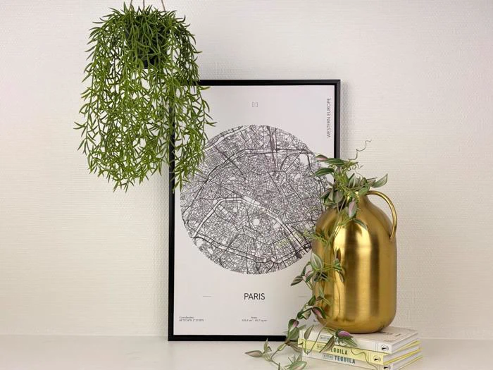 Et indrammet sort-hvidt Paris-kort står på en hylde, flankeret af to grønne potteplanter og en guldvase, der hviler på stablede bøger.