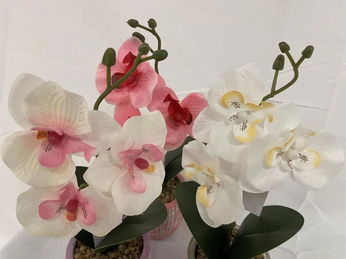 To kunstige orkidéer med grønne blade i potter; den ene har rosa blomster, den anden har hvide blomster med lysegul midte. Baggrunden er almindelig hvid.