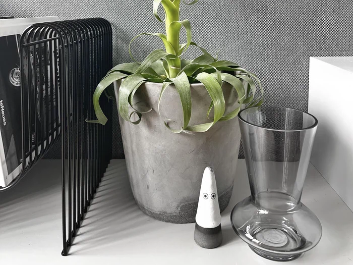 En potteplante, et klart glas og en lille kegleformet figur med øjne står på et skrivebord ved siden af et sort metalskab med bøger.