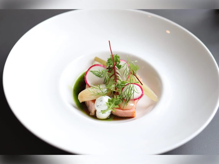 En gourmetret med skiveskårne radiser, krydderurter, sauce og grøntsager kunstfærdigt anrettet på en hvid tallerken.