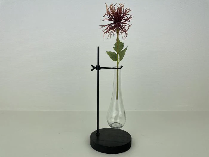 En enkelt pigget rød blomst med grønne blade i en glasflaske, der holdes oprejst af et metalstativ på en sort base mod en almindelig hvid baggrund.