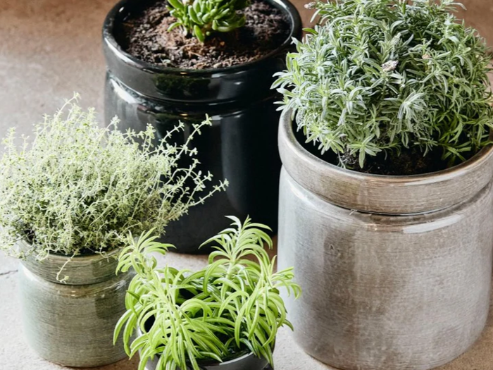 Nordal, Isa, Urtepotte, Grå, Stentøj, H:27,5 x Dia:25 cm