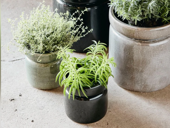 Nordal, Isa, Urtepotte, Sort, Stentøj, H:16 x Ø:15 cm