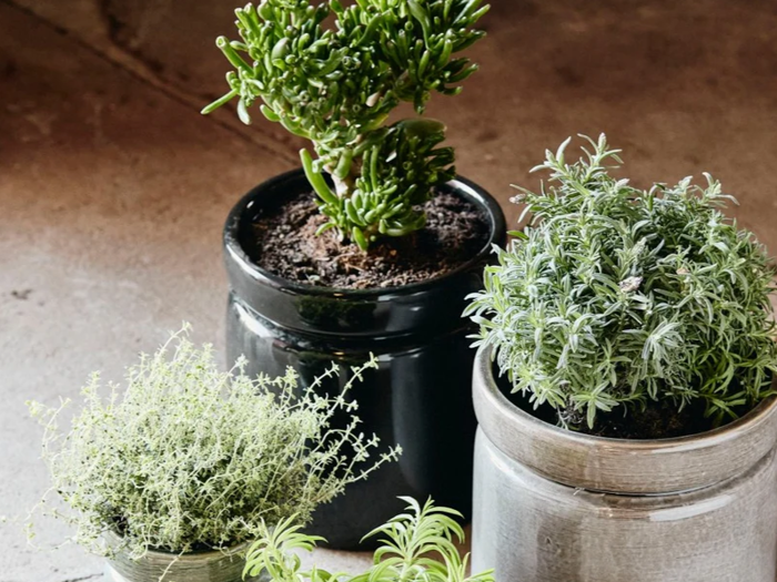 Nordal, Isa, Urtepotte, Sort, Stentøj, H:27,5 x Dia:25 cm