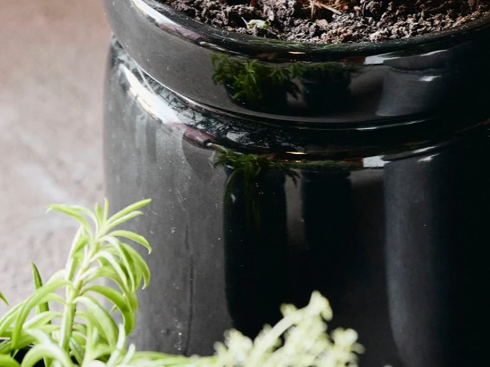 Nordal, Isa, Urtepotte, Sort, Stentøj, H:16 x Ø:15 cm