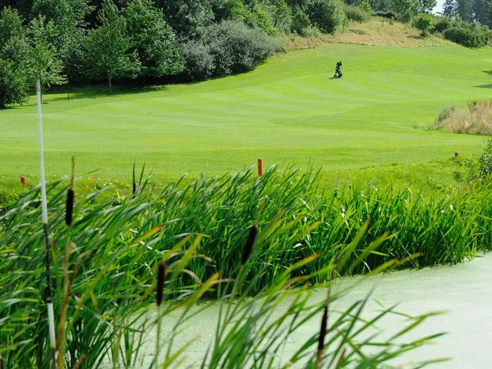 4 x Greenfee og 4 x frokost til Juelsminde Golfklub