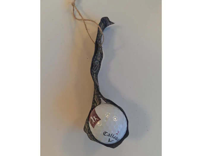 Linses Juleshow samler ind til Ønskefonden!