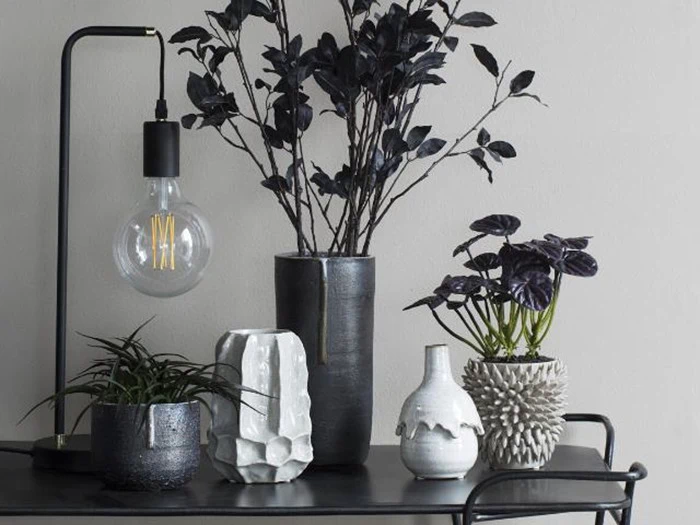 Kinesisk pengetræer fra Lene Bjerre