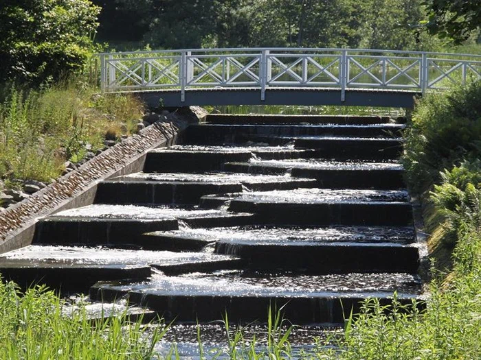 Et lille trinvist vandfald flyder under en hvid træbro, omgivet af frodige grønne planter og træer i dagslys.