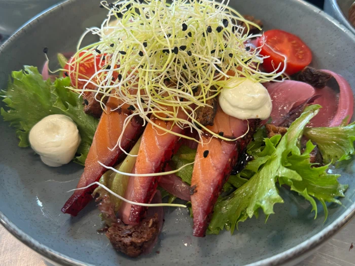 En farverig salat med blandet grønt, rød- og gulristede rødbeder i skiver, cherrytomater, syltede løg, spirer og en klat cremet dressing på en grå tallerken.