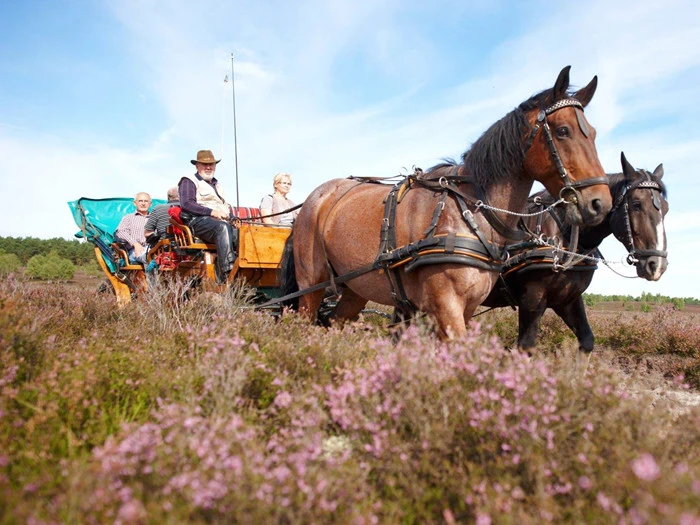 Miniferie for 2 i smukke Lüneburger Heide i Nordtyskland
