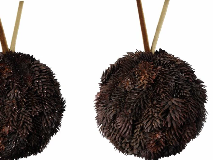 To runde, mørkebrune objekter dækket af små, overlappende kogleskæl hænger i solbrune bånd mod en hvid baggrund.