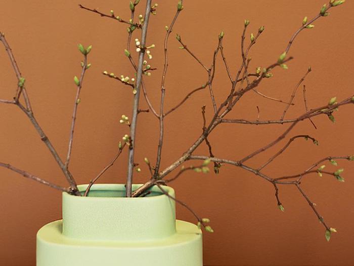 En lysegrøn vase med nøgne grene med små grønne knopper på en varm brun baggrund.