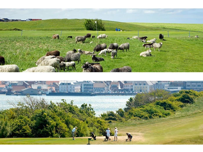 Greenfees for 2 til Lemvig Golfklub