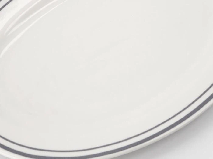 Et nærbillede af en hvid keramiktallerken med to tynde, mørkeblå linjer nær kanten.