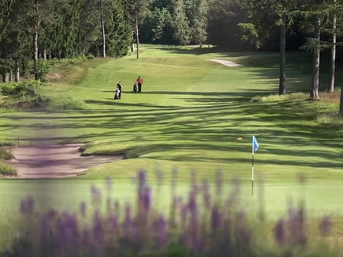 En golfbane med to personer, der går langs fairway, træer på begge sider og et blåt flag, der markerer hullet i forgrunden.