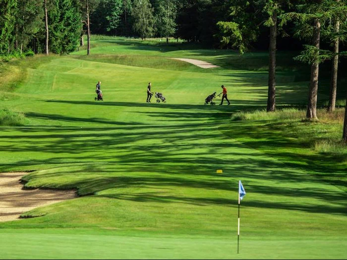 Tre personer går med golfvogne på en grøn golfbane omgivet af træer, med et flag, der markerer et hul i forgrunden.
