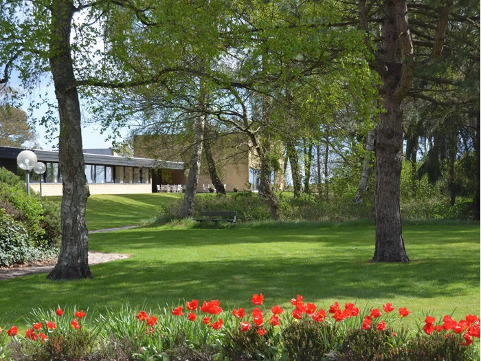 En frodig grøn græsplæne med høje træer, røde tulipaner i forgrunden og en moderne bygning, der er delvis synlig i baggrunden under en klar himmel.