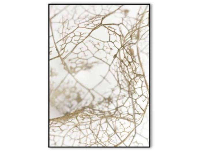 Malerifabrikken, Leaf skeleton 1 + 2, posterboard, 50x70 cm 