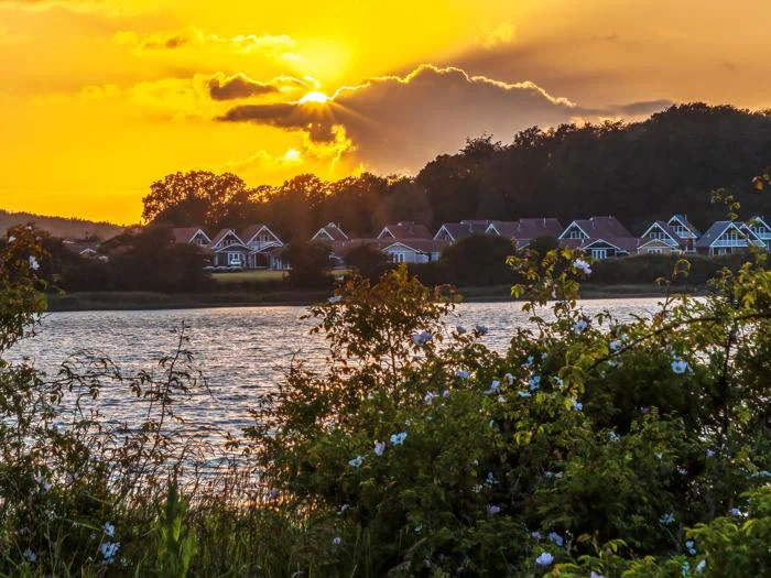 Solnedgang over en række huse med røde tage ved en sø, indrammet af grønne buske og hvide blomster i forgrunden.