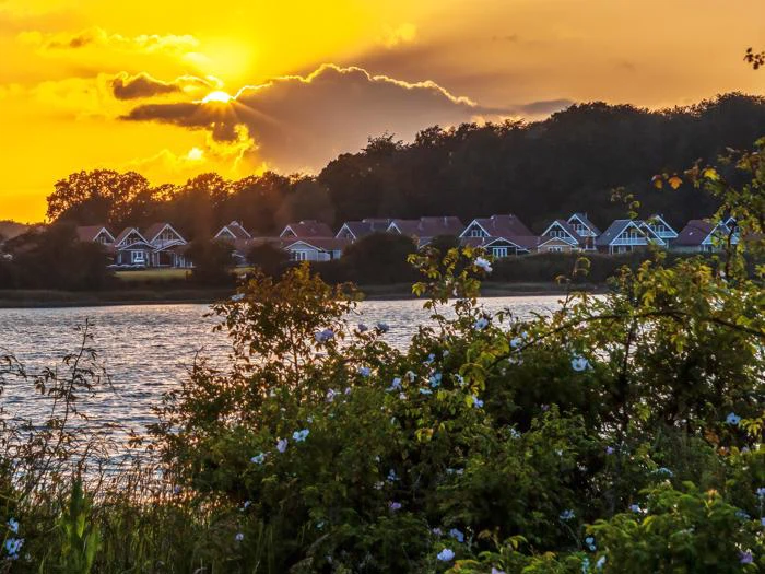 En lysende solnedgang over en række huse med røde tage nær en sø, indrammet af træer og blomstrende buske i forgrunden.