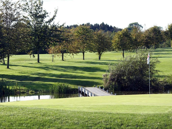 En golfbane med en green, et flag, en lille træbro over vand og træer i baggrunden under en klar himmel.