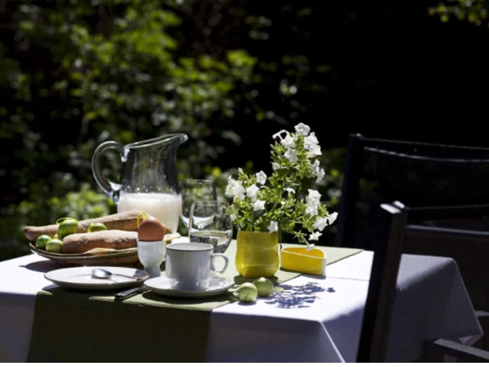 Udendørs bord dækket til morgenmad med brød, et blødkogt æg, mælk, kopper, blomster i en gul vase, glas og limefrugter, alt sammen i naturligt sollys med grønne planter i baggrunden.