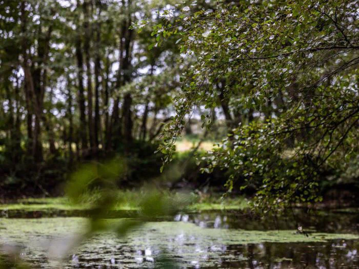 Ophold for 2 på Nørre Vosborg - Historisk herregård med autentisk atmosfære