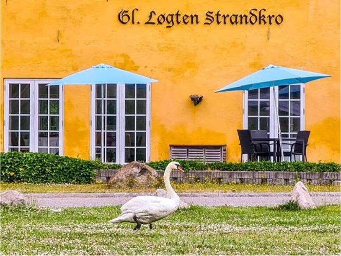 Ophold med 4-retters middag på Gl. Løgten Strandkro 