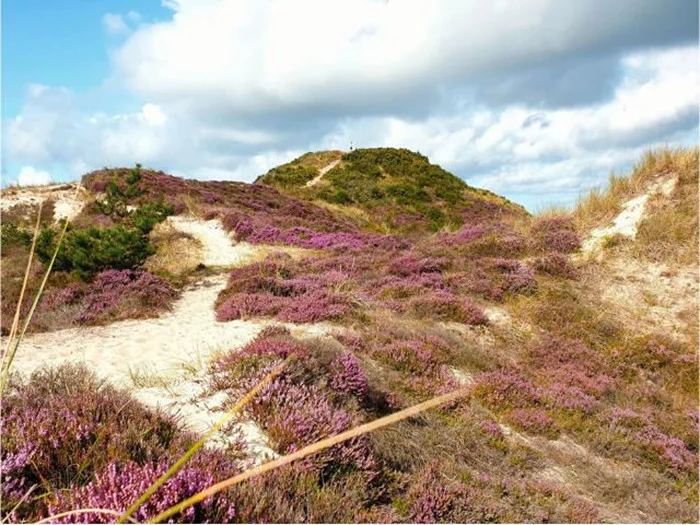 Miniferie for 2 personer på Badehotellet Klitgaarden ved Henne Strand