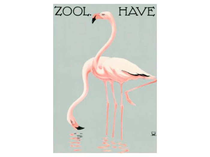 Indrammet ZOO - A - WENNERWALD, FLAMINGOER plakat fra Permild & Rosengreen