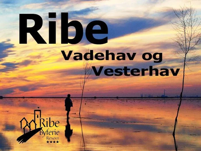 2 nætter i prisvindende feriecenter fra Ribe Byferie 