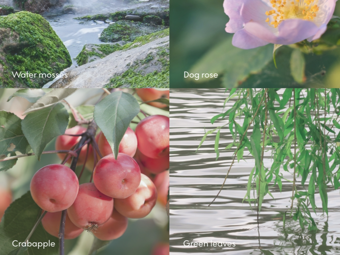 SKANDINAVISK, ØY, Håndcreme, Crabapple, Dog rose, Water mosses, Green leaves, Blå, 75ml.