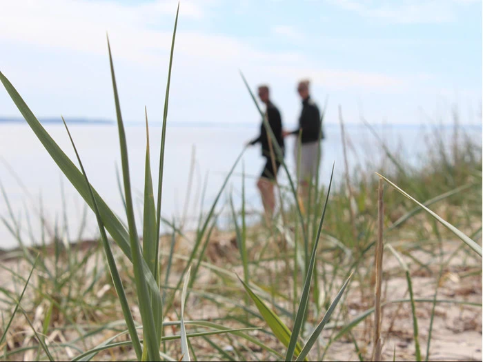 5-retters Gourmetophold for 2 på Tambohus Kro & Badehotel med udsigt udover Limfjorden