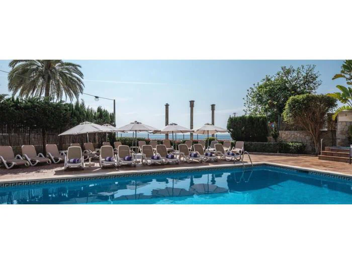 En swimmingpool med liggestole og parasoller ved siden af, omgivet af palmer og grønne områder under en klar himmel.