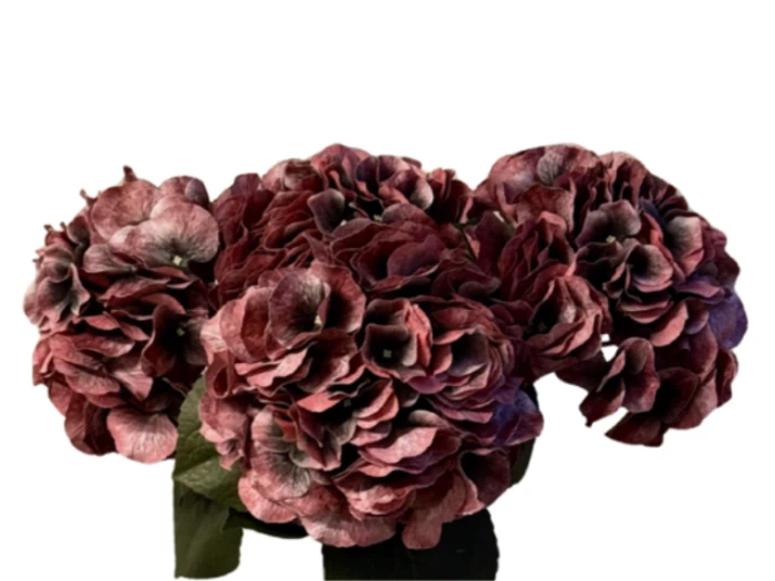 Aura Copenhagen, Hortensia, Buket, Kunstig, Rød, 4 stk. Stilke, L:62 cm