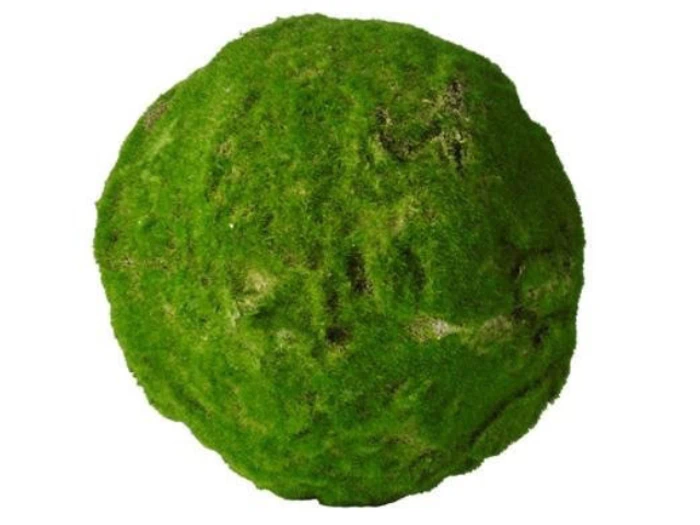 En kugleformet klump lysegrønt mos med en ru, ujævn overflade, isoleret på en hvid baggrund.