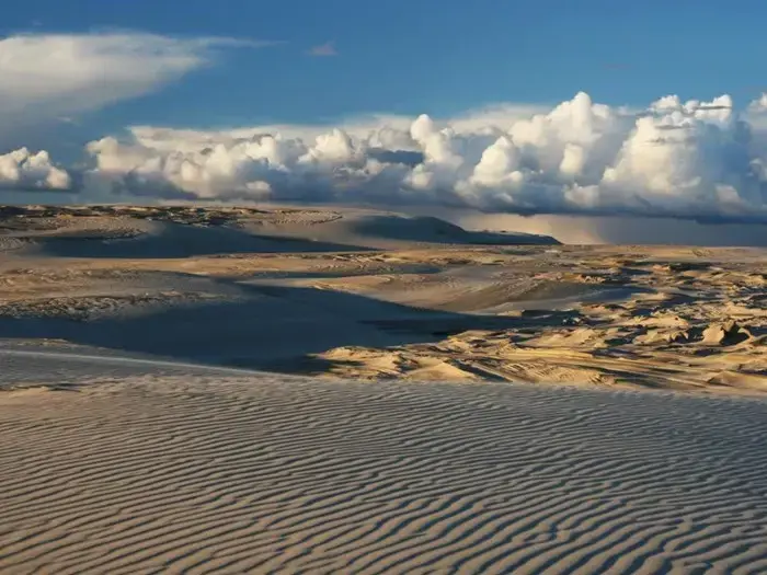 Store sandklitter med krusede mønstre under en lys himmel, dramatiske hvide skyer samles i horisonten.