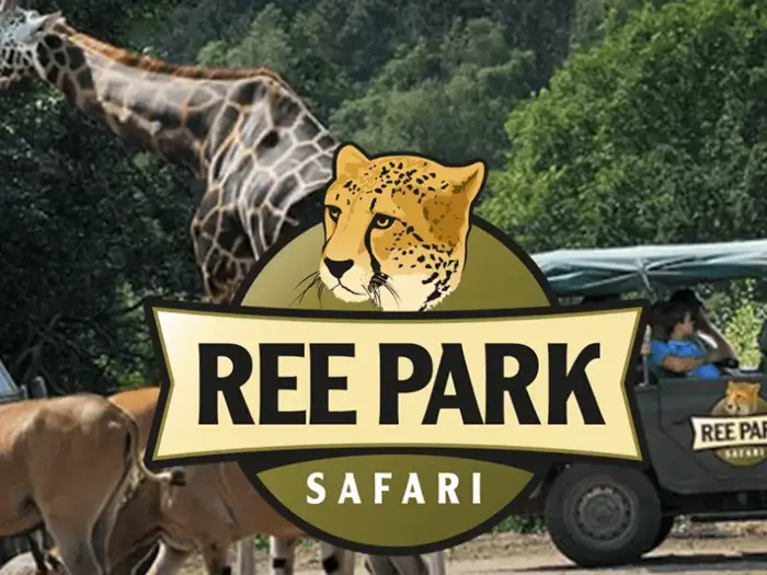 Logo for Ree Park Safari med en gepards ansigt på en baggrund af en giraf, antiloper og et safarikøretøj i et frodigt, grønt udendørs miljø.